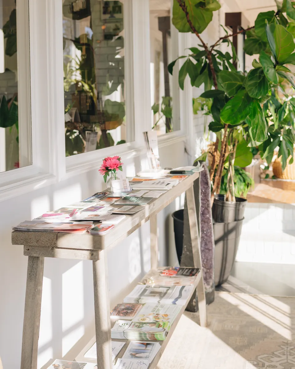 The sunlit walkway along the front of the house: a long table of leaflets, a fiddle-leaf fig and potted palms.